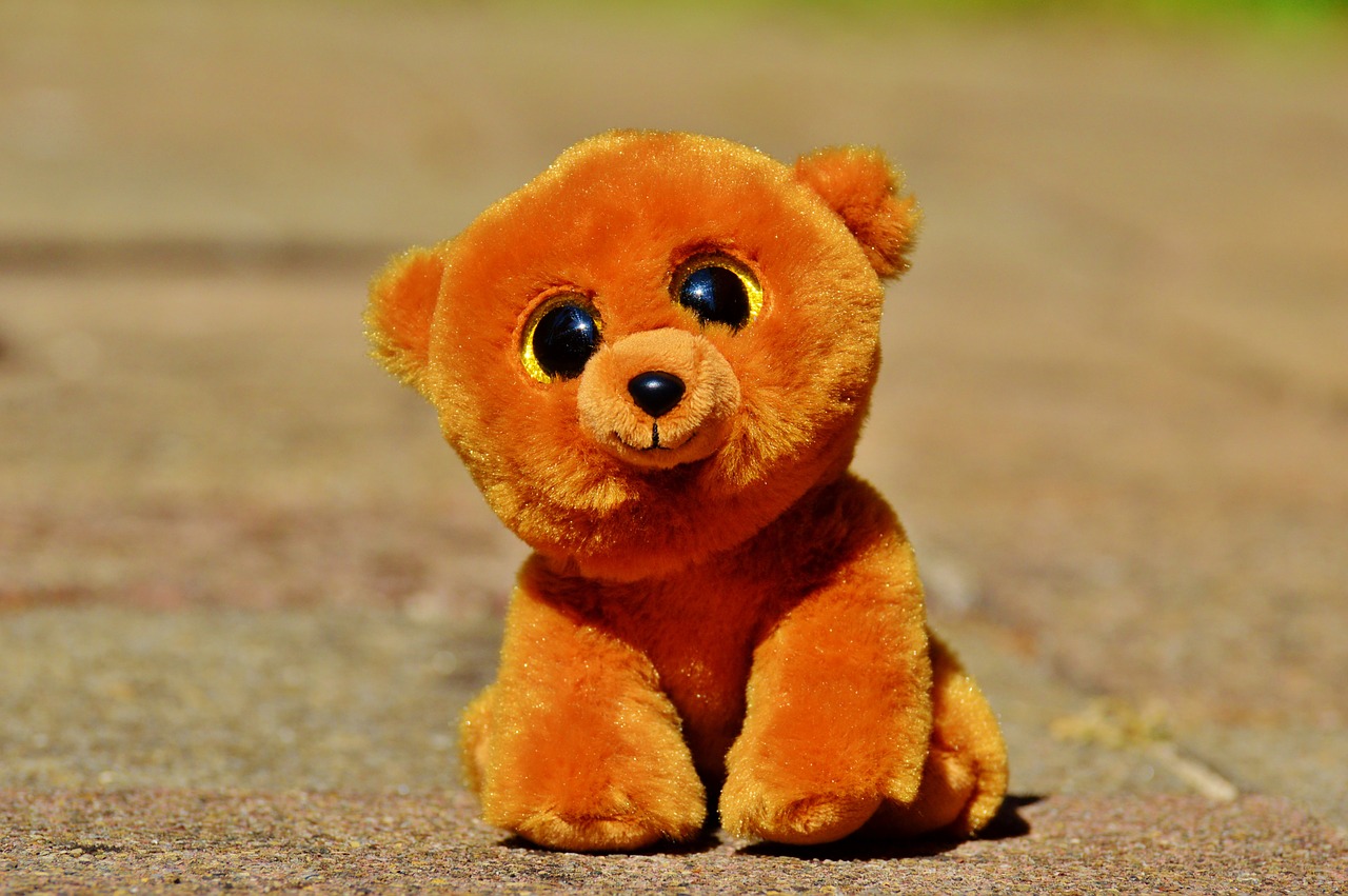 teddy bear glitter eyes stuffed animal free photo