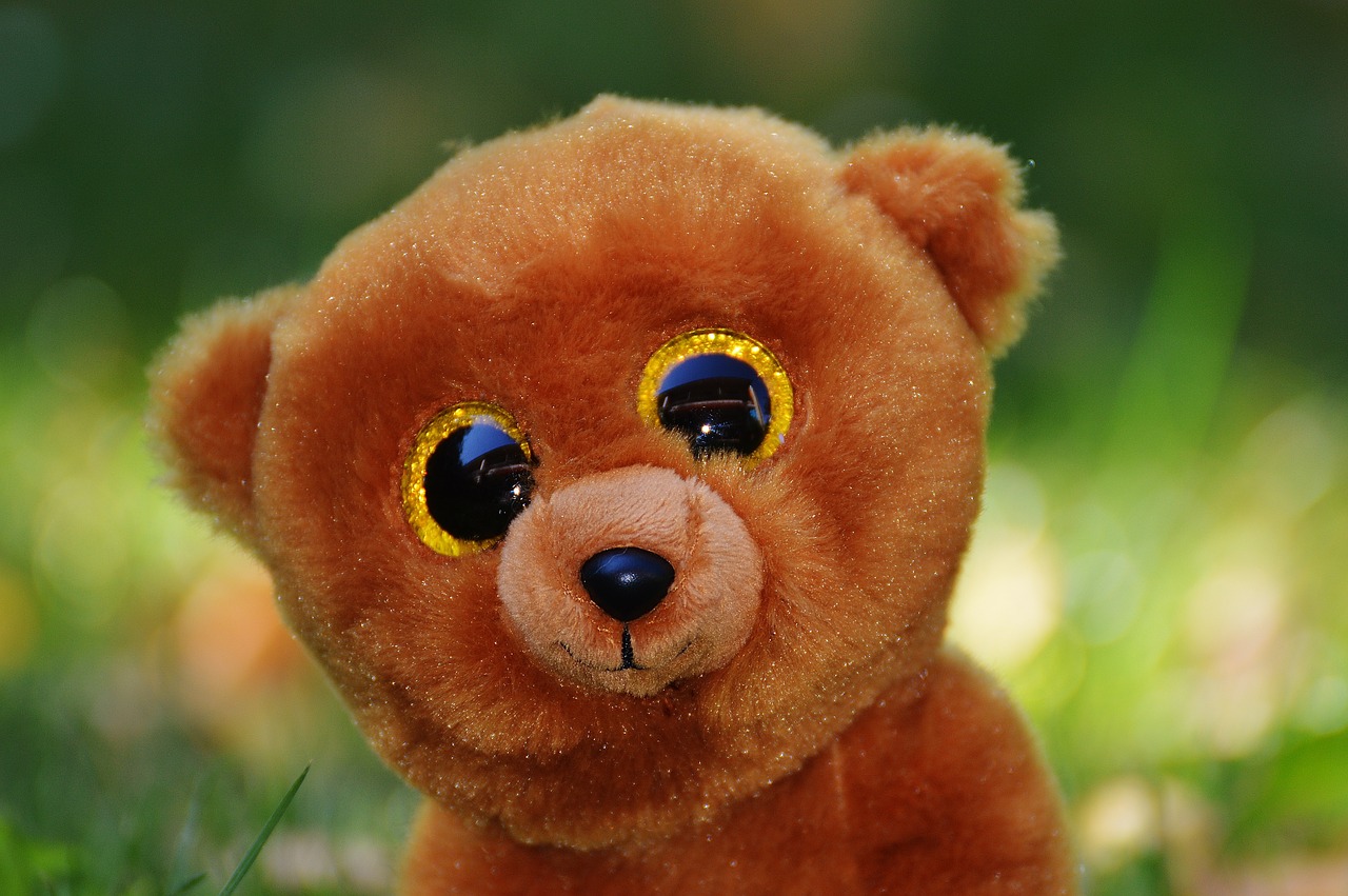 teddy bear glitter eyes stuffed animal free photo