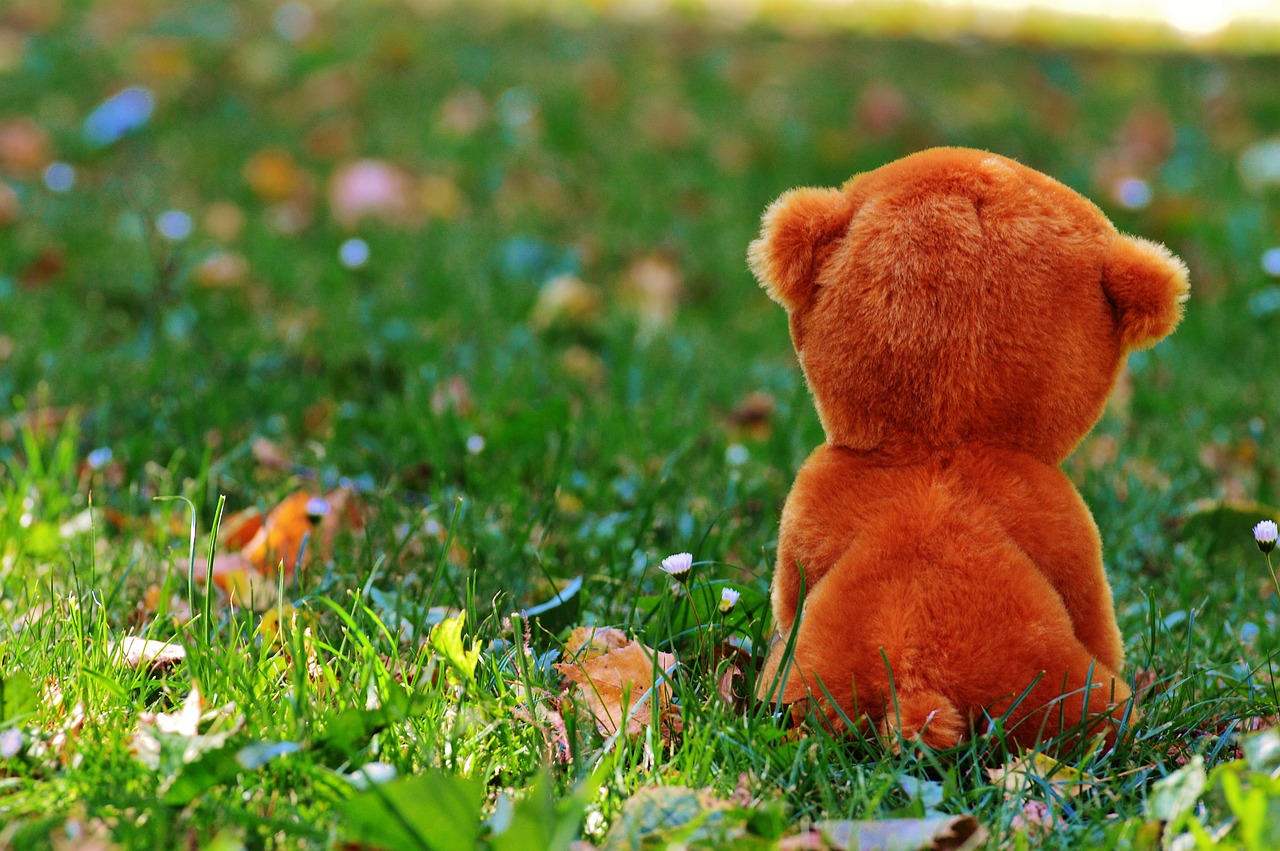 teddy bear stuffed animal farewell free photo