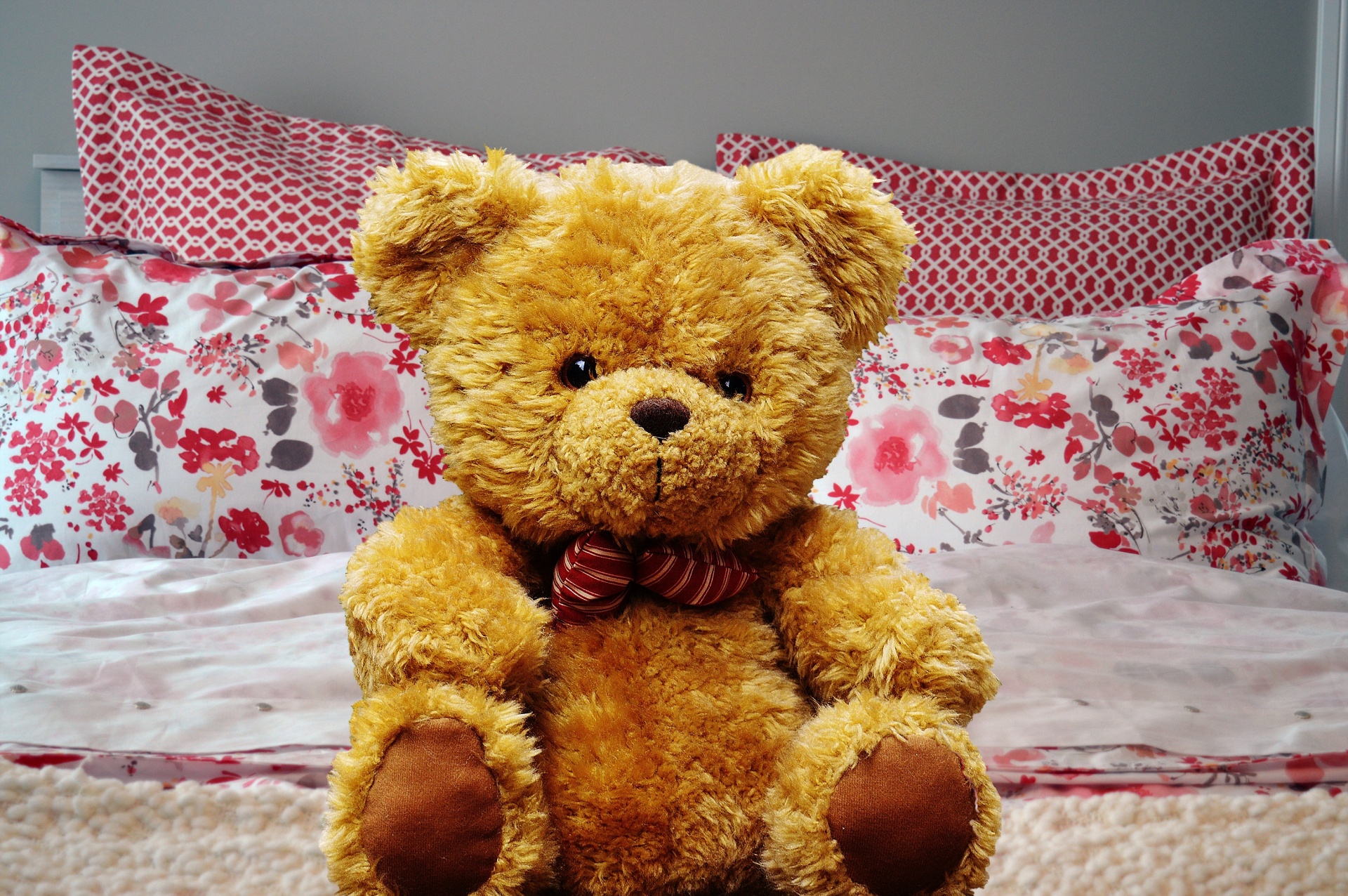 bear teddy teddy bear free photo