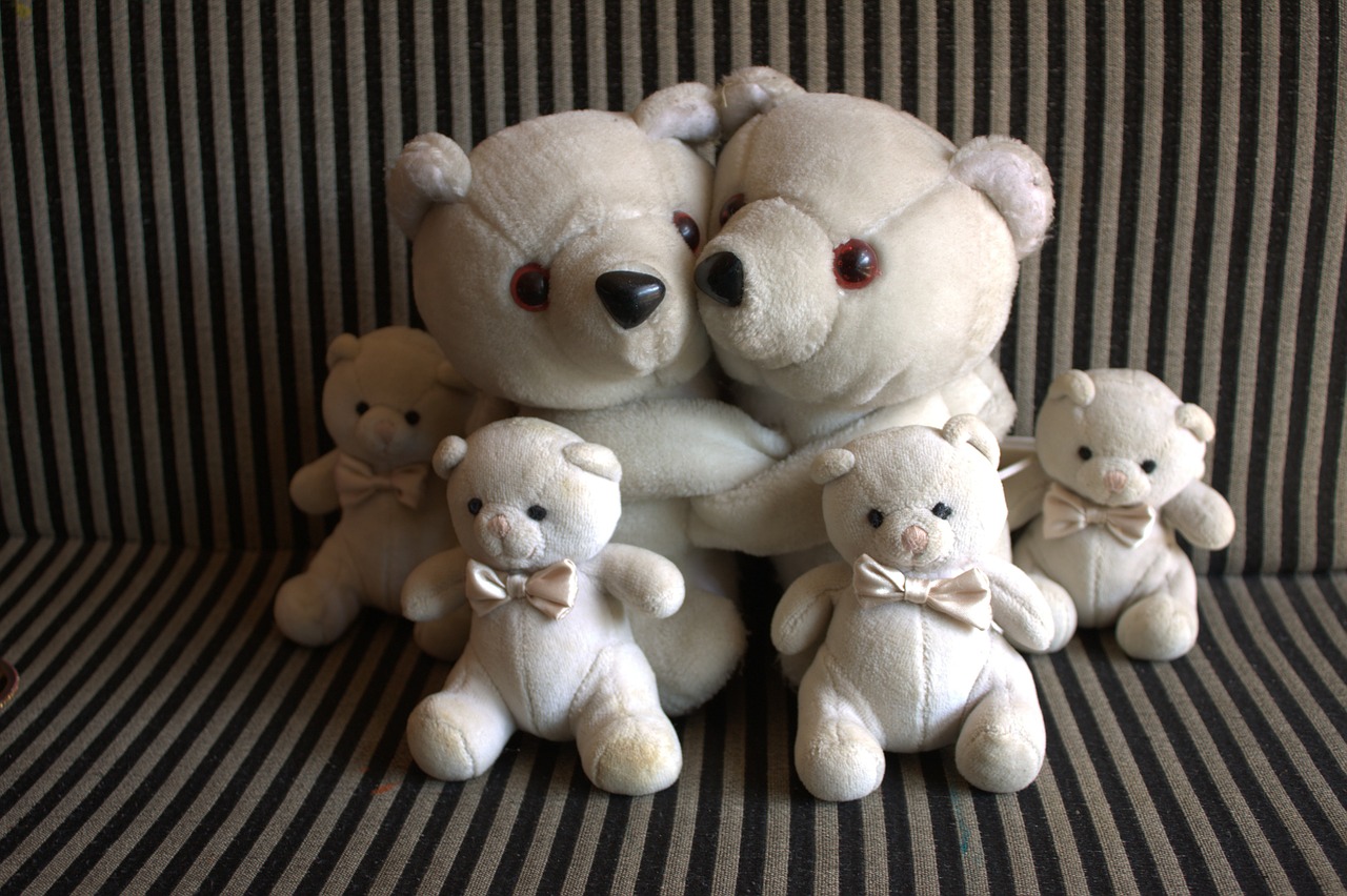 teddy bears plush toys teddy free photo