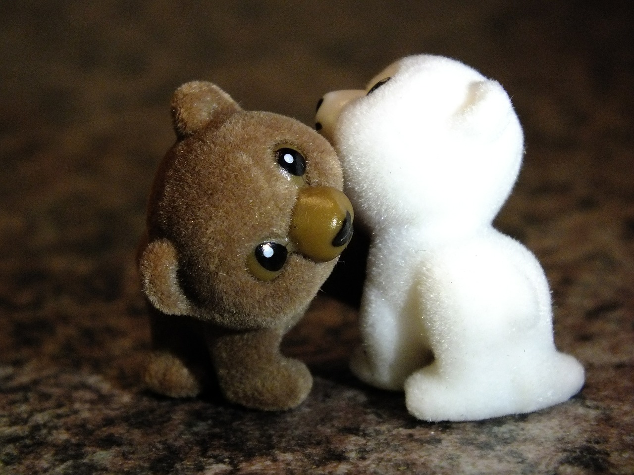 teddy bears friendship brown free photo