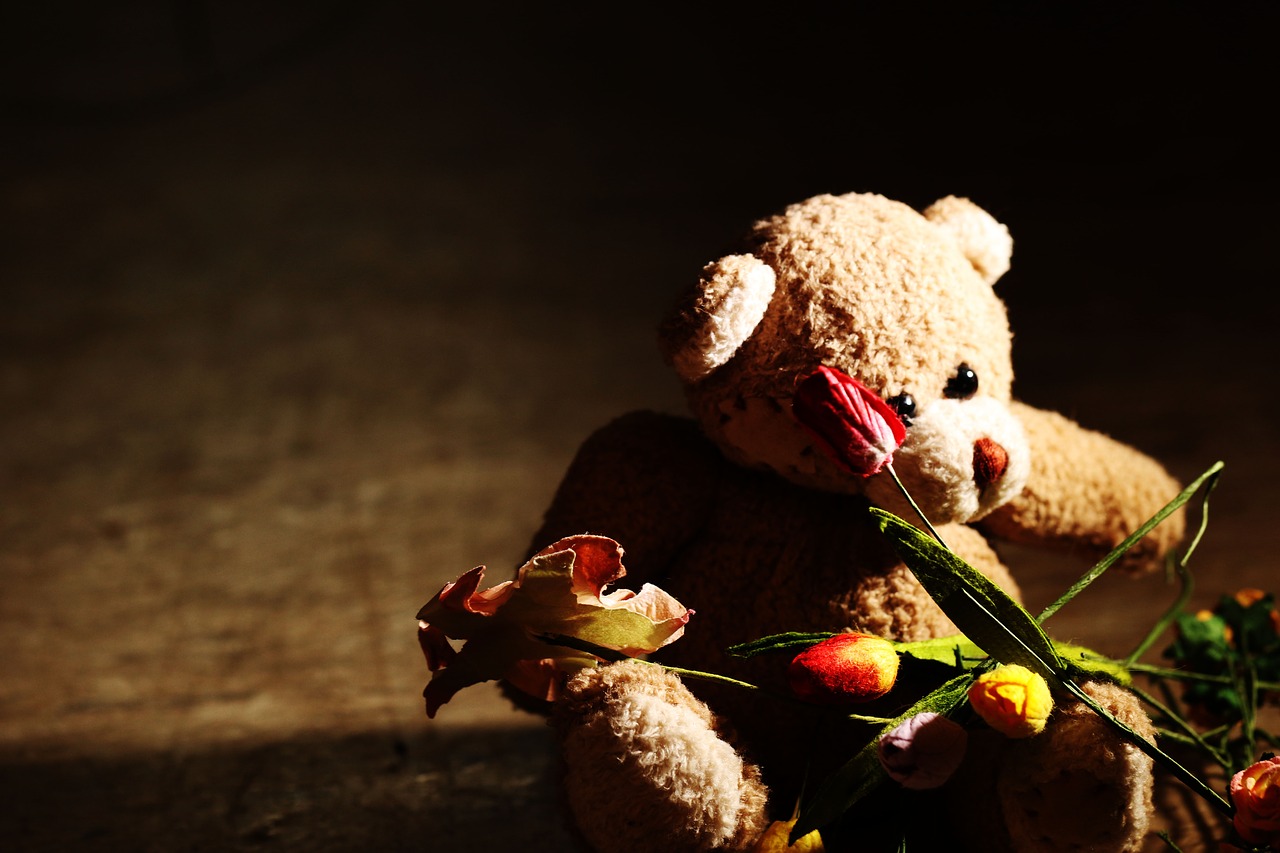 teddybear flowers miniature free photo