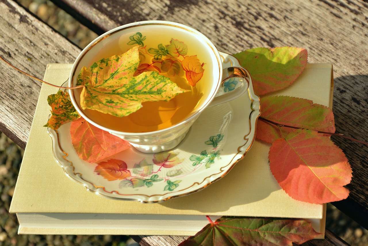 tee teacup autumn free photo