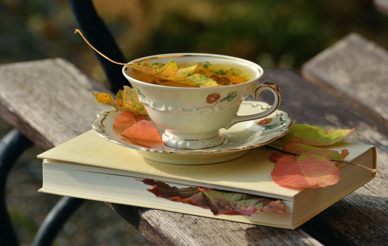 tee teacup autumn free photo