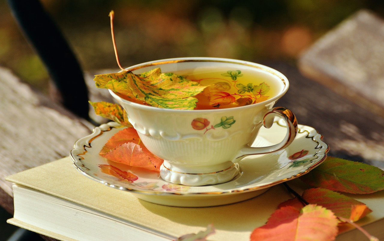 tee teacup autumn free photo