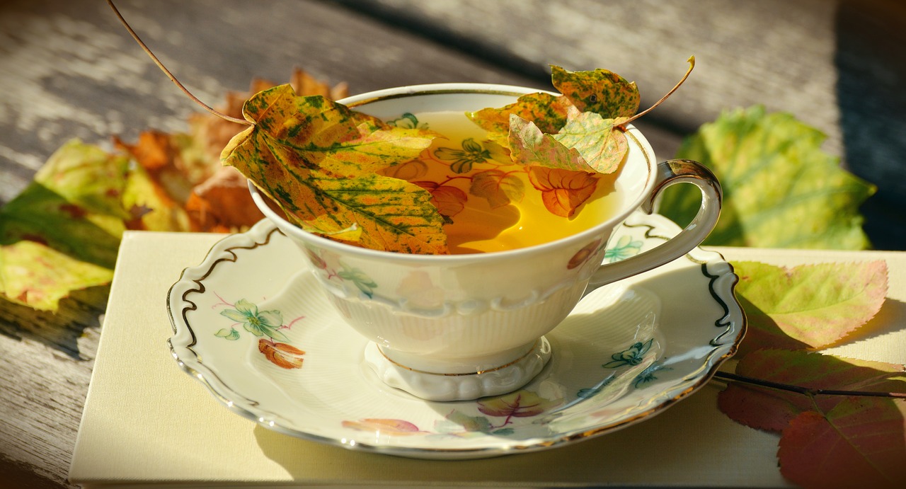 tee teacup autumn free photo