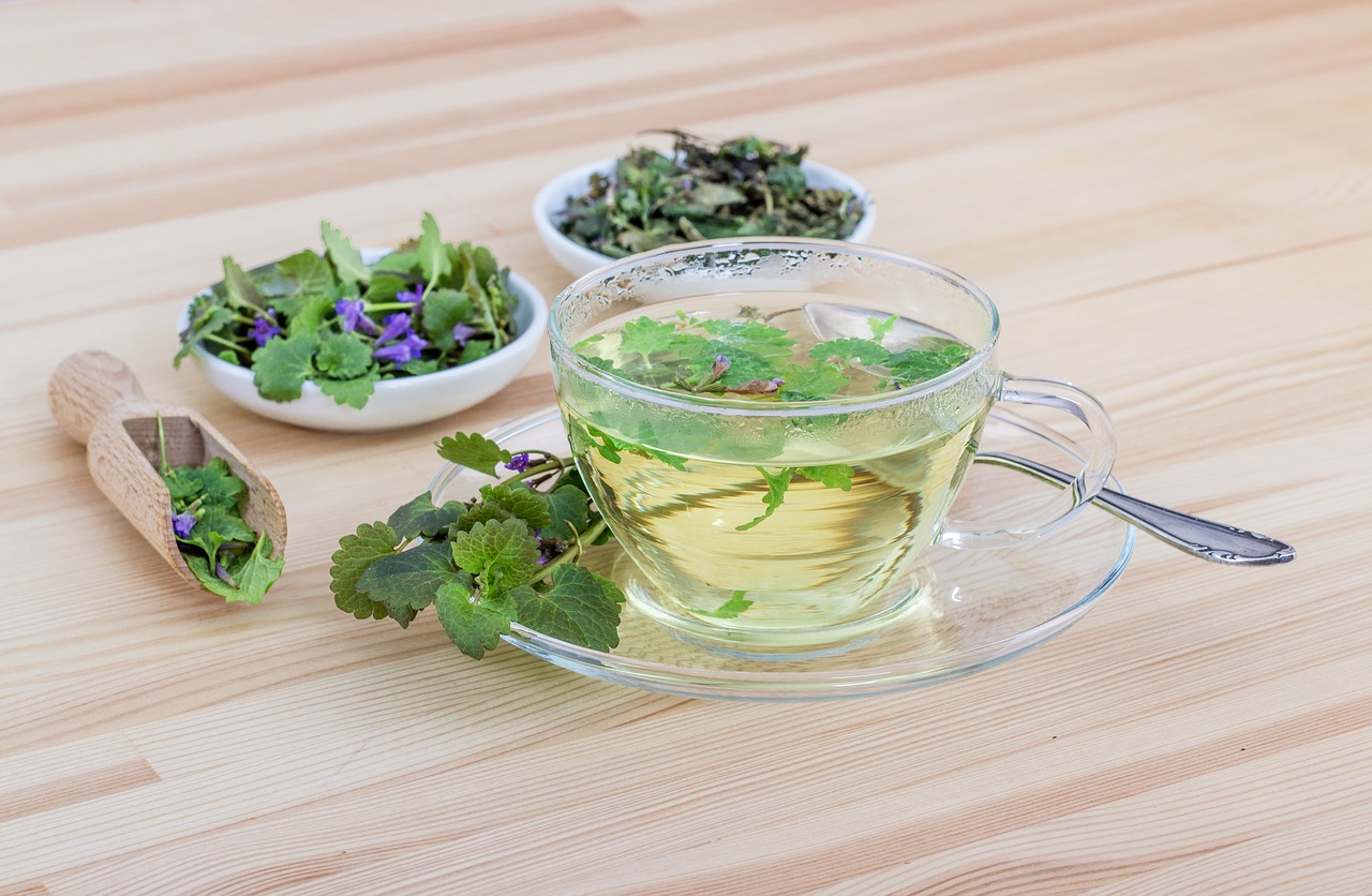 tee herbs herbal tea free photo