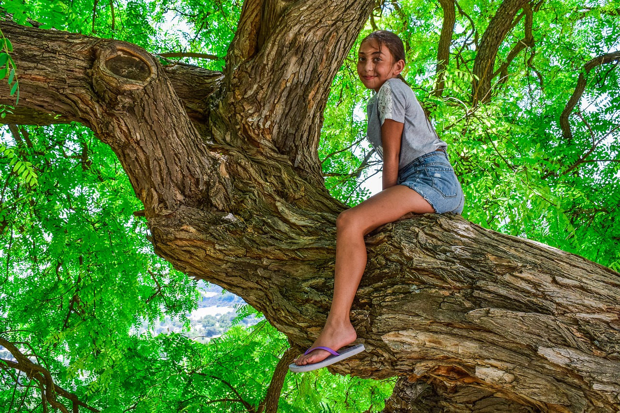 teen  girl  tree free photo