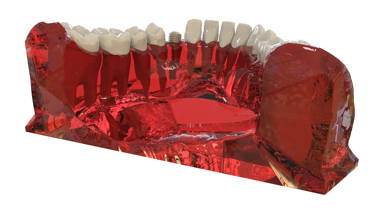 teeth jaw 3d model free photo