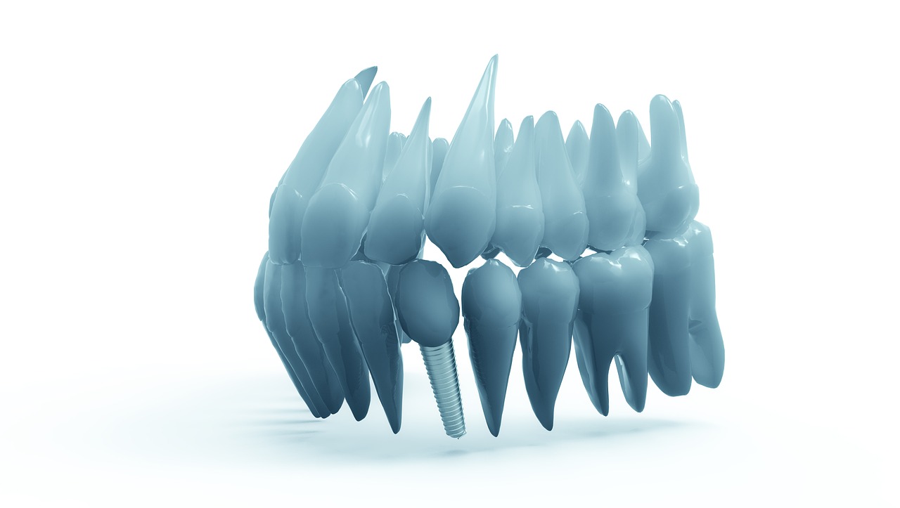 teeth jaw 3d model free photo