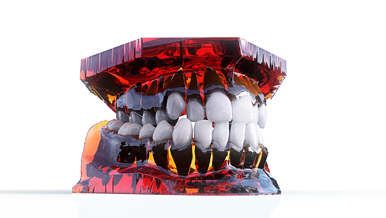 teeth jaw 3d model free photo