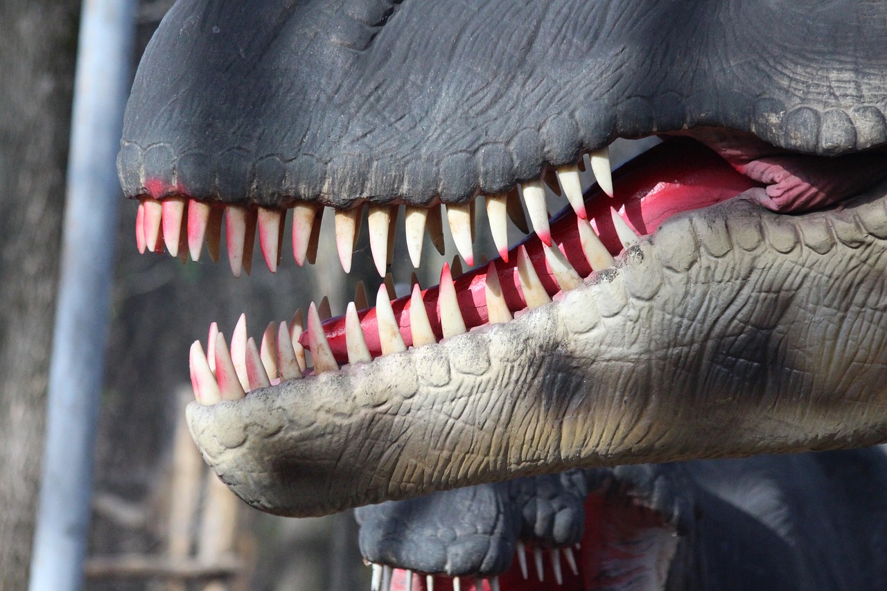 teeth  dinosaur  model free photo