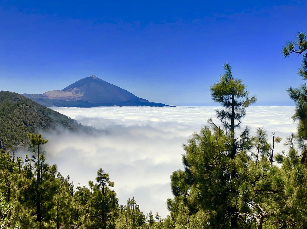 teide  landscape  peak free photo