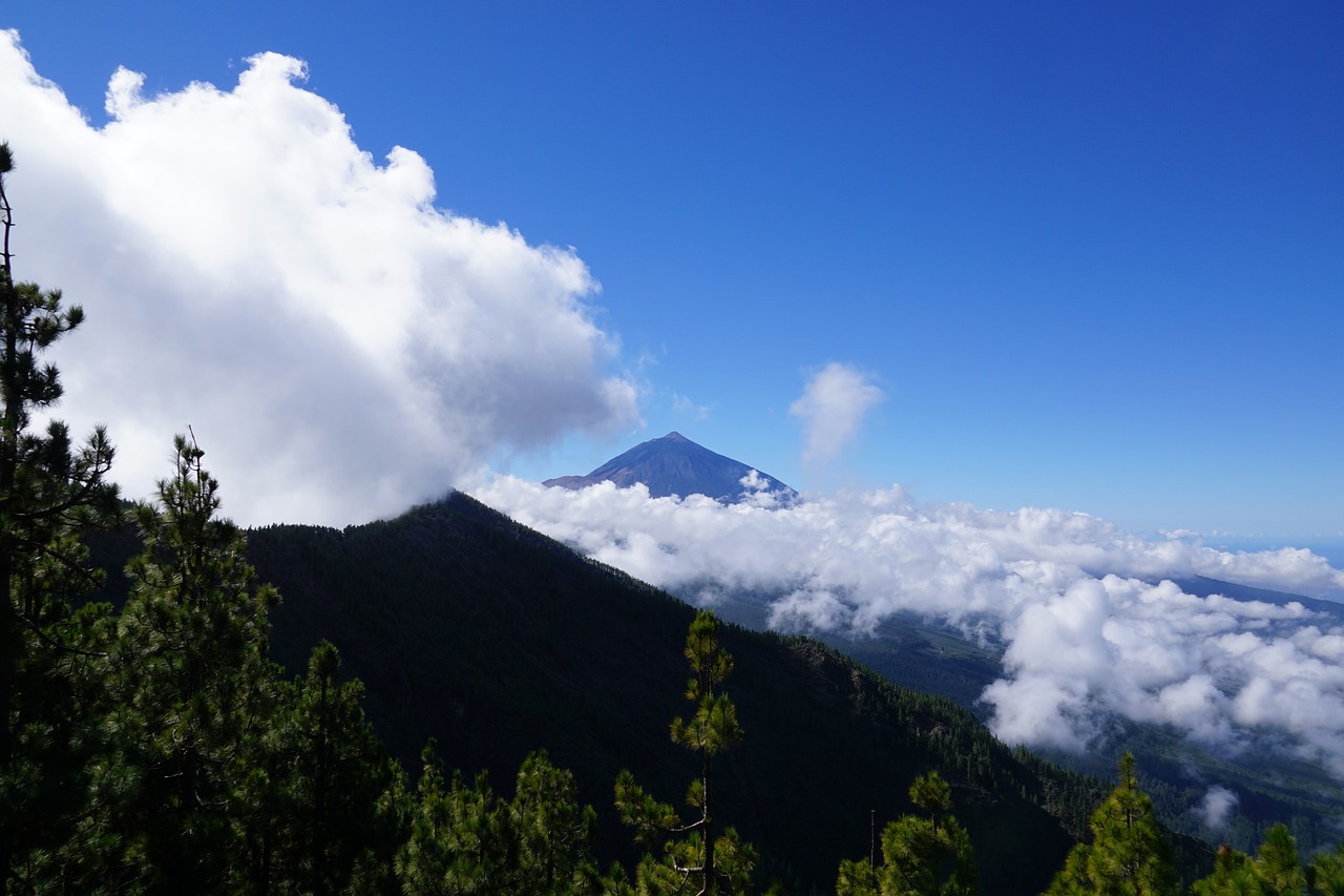 teide  clouds  forest free photo