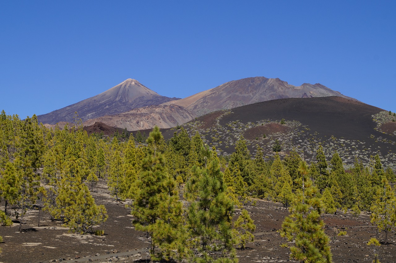 teide national park national park rock free photo