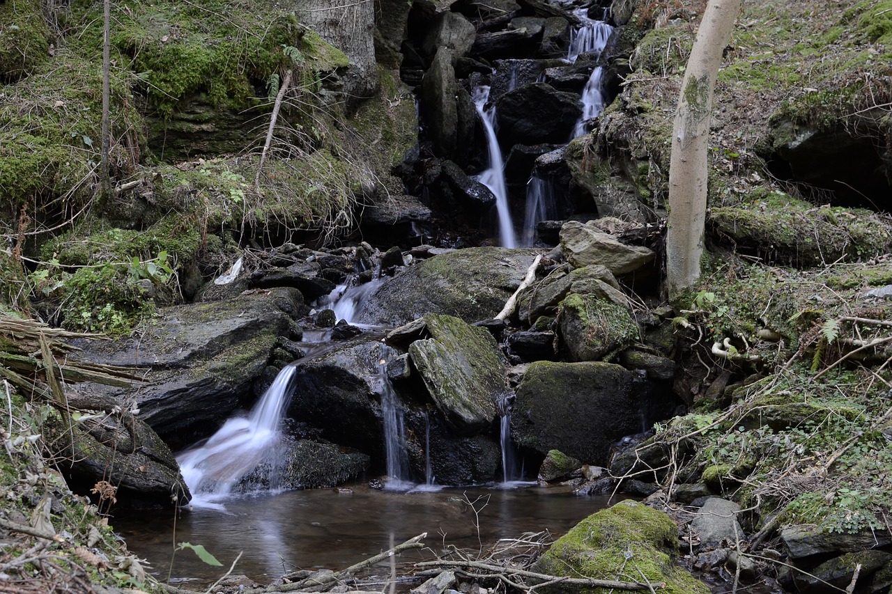 teigitsch austria styria free photo