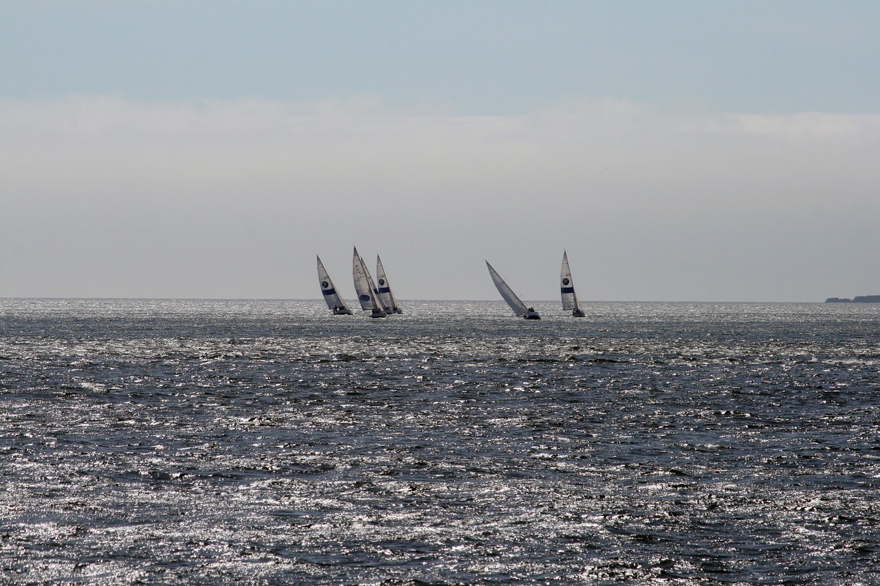 tejo sailboats portugal free photo