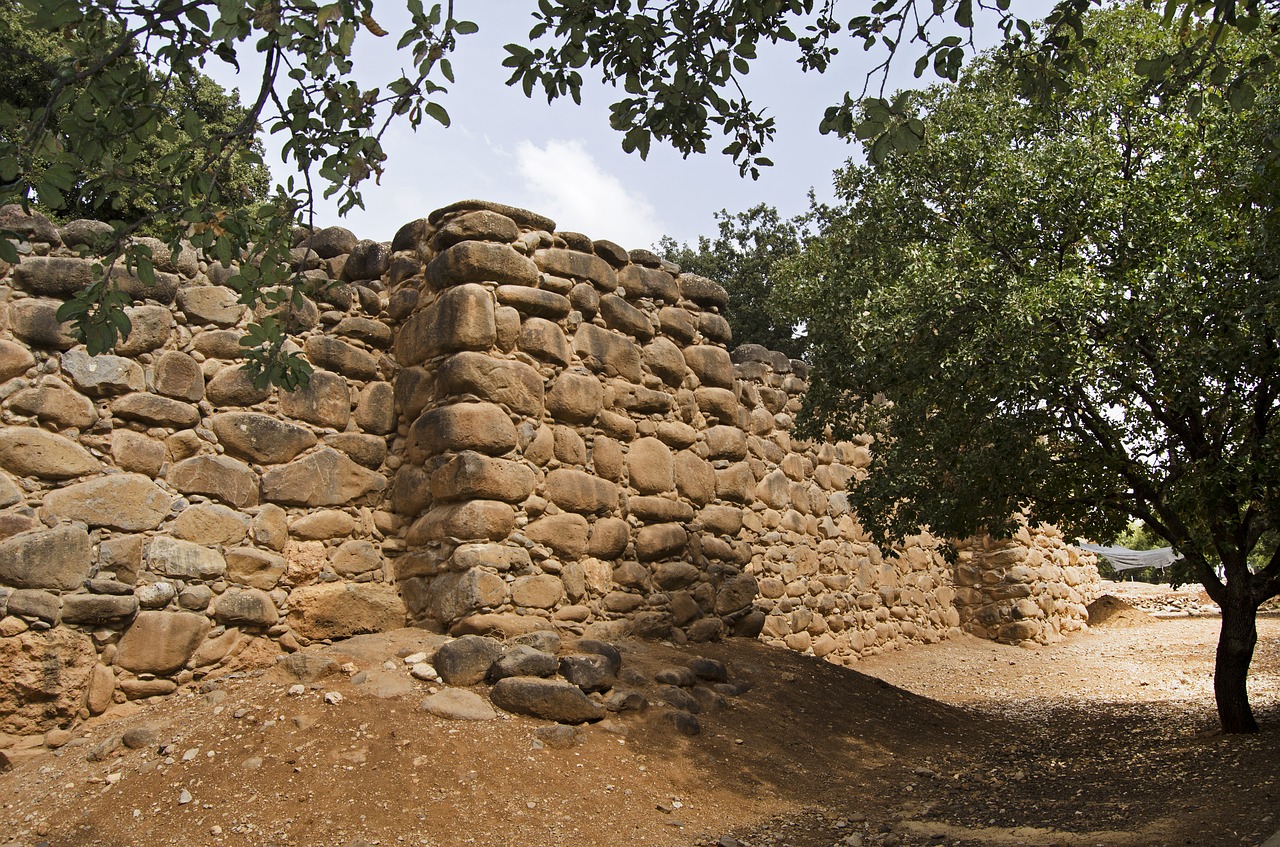 tel dan  israel  biblical site free photo