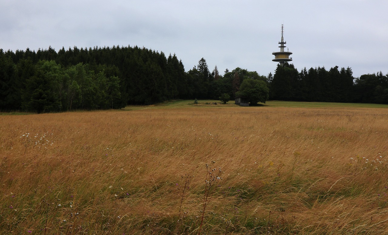 telecommunication tower  höllberg in driedorf  forest free photo