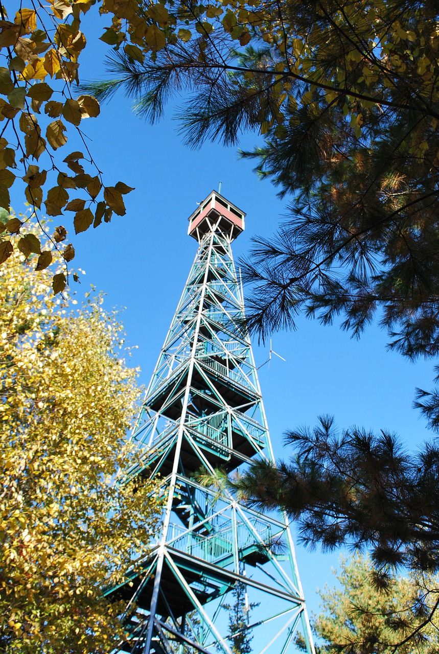 temagami tower nature free photo