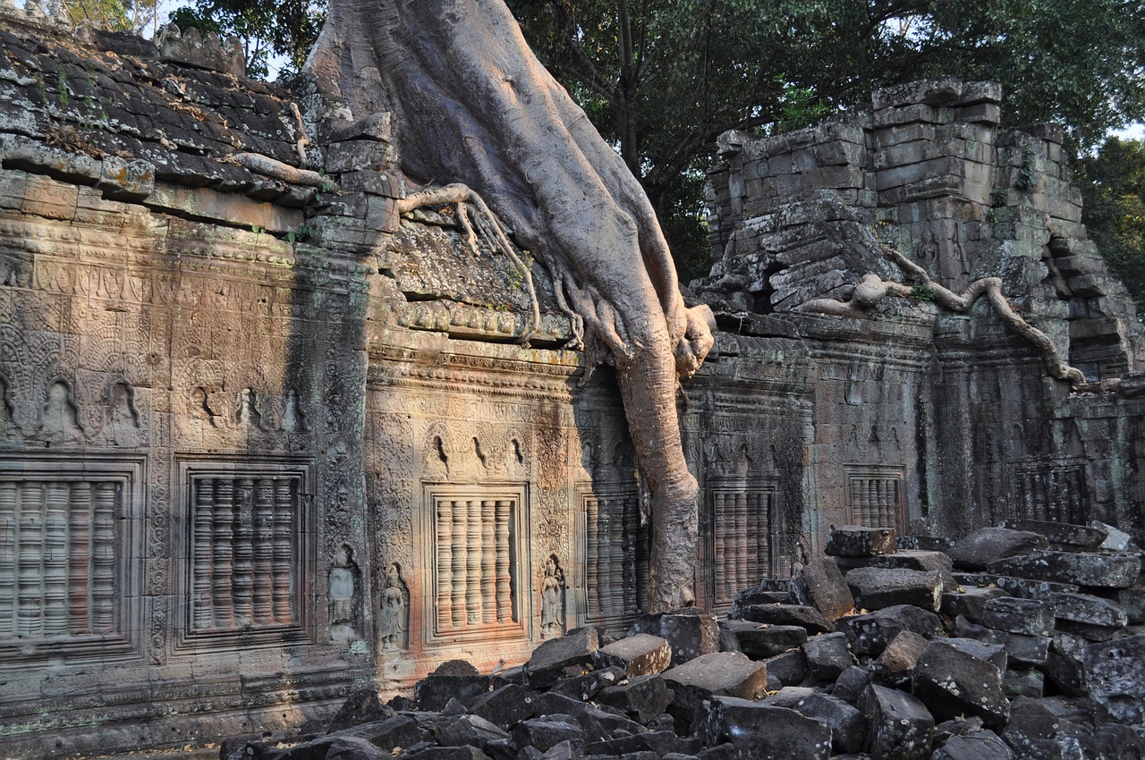 temple ruin tree root free photo