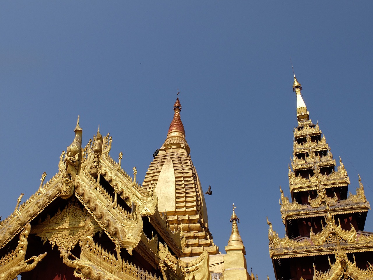 temple gold buddha free photo