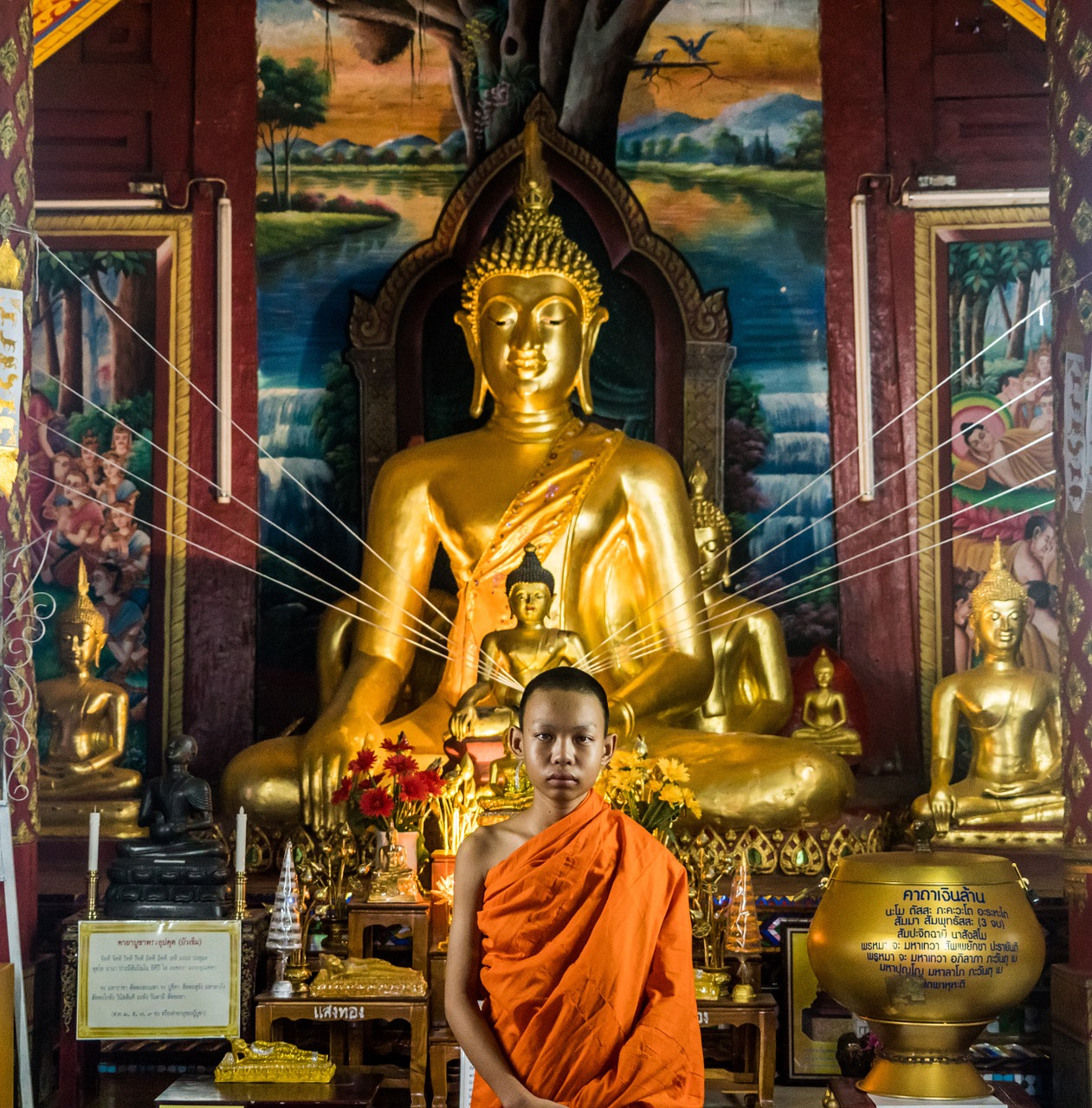 temple chiang mai monk free photo