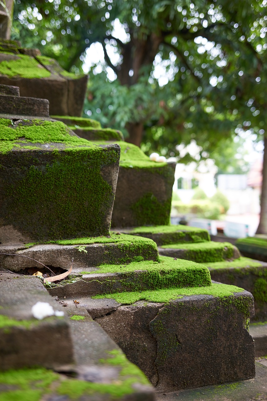 temple stairs moss free photo