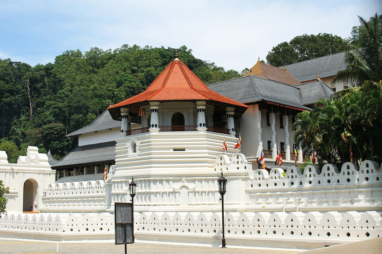 temple kandy travel free photo