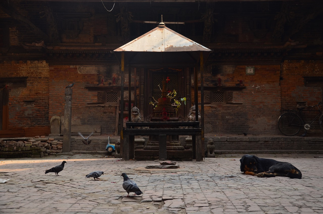 temple kathmandu nepal free photo
