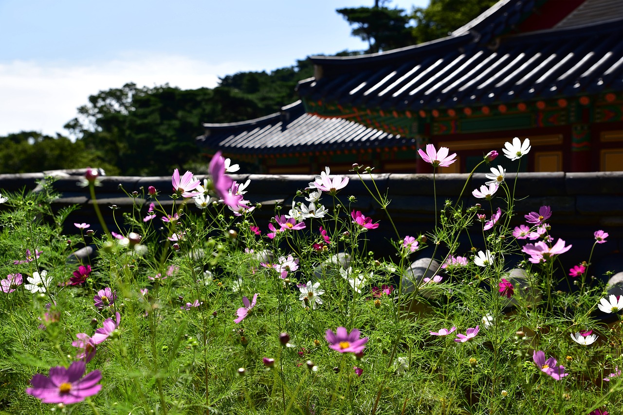 temple korea incheon free photo