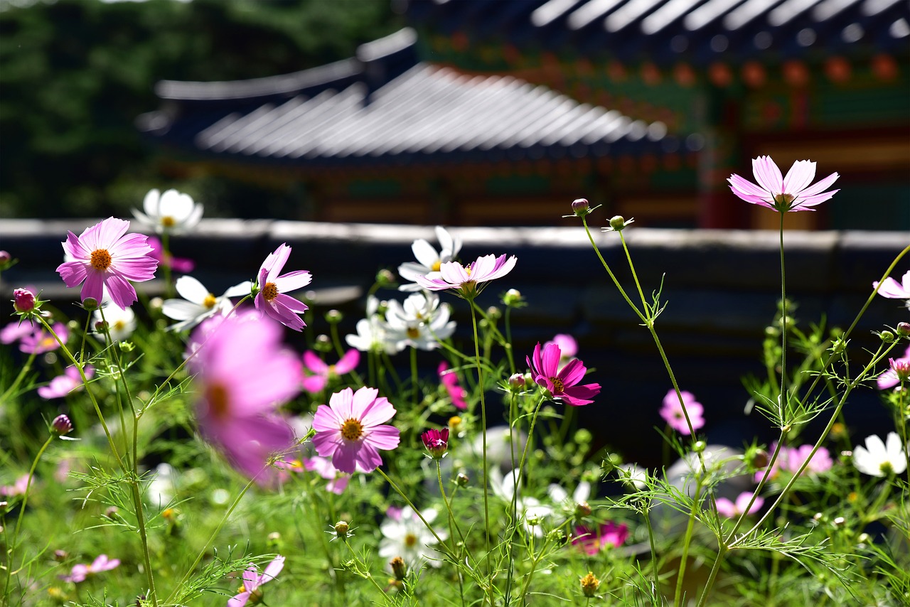 temple korea incheon free photo