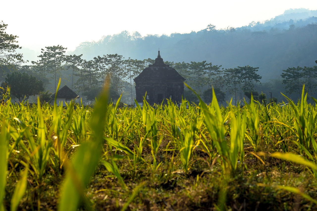 temple landscape hinduism free photo