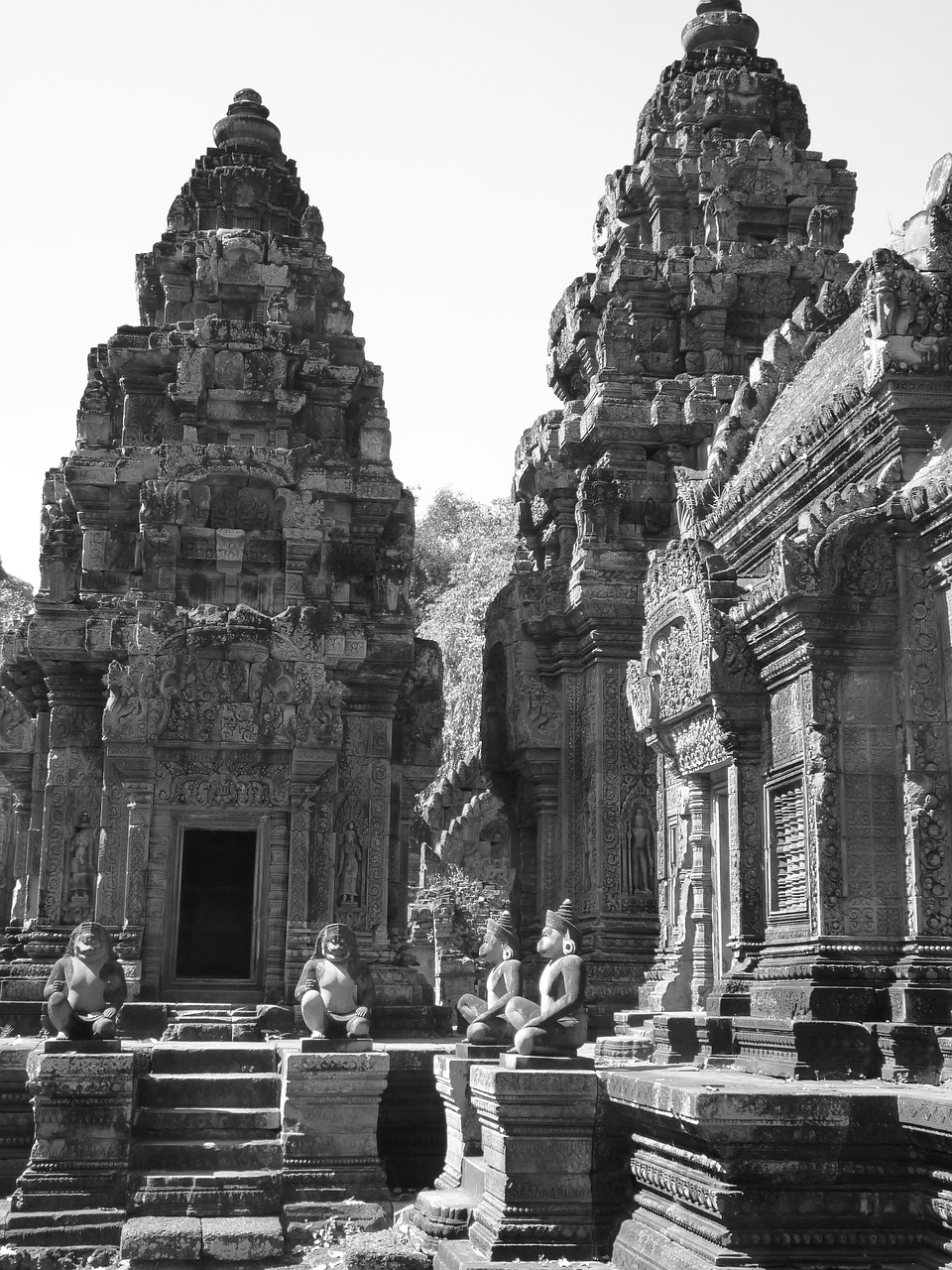 temple  angkor  cambodia free photo