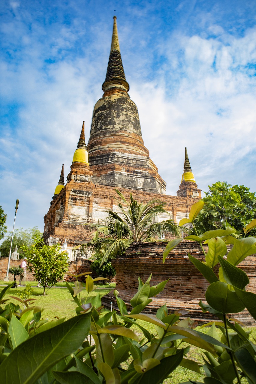 temple  thailand  palm free photo