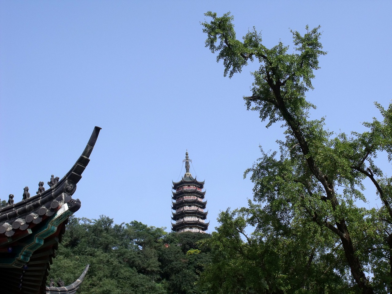 temple buildin buddha free photo