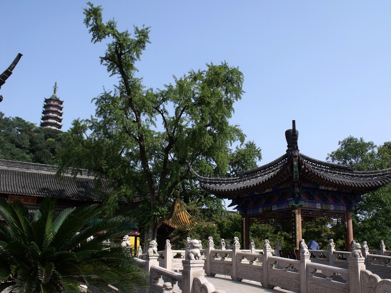 temple buildin buddha free photo