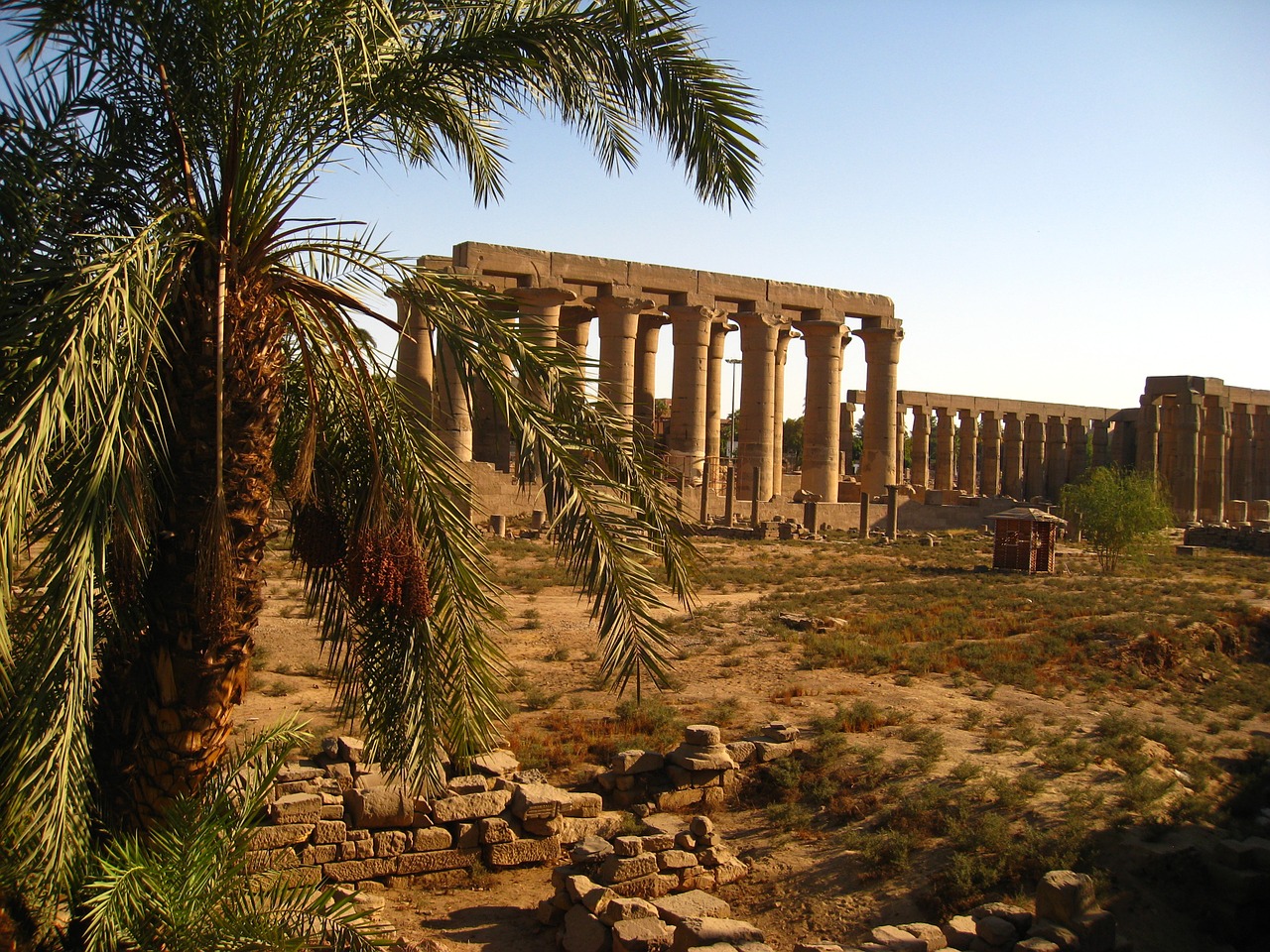 temple egypt africa free photo