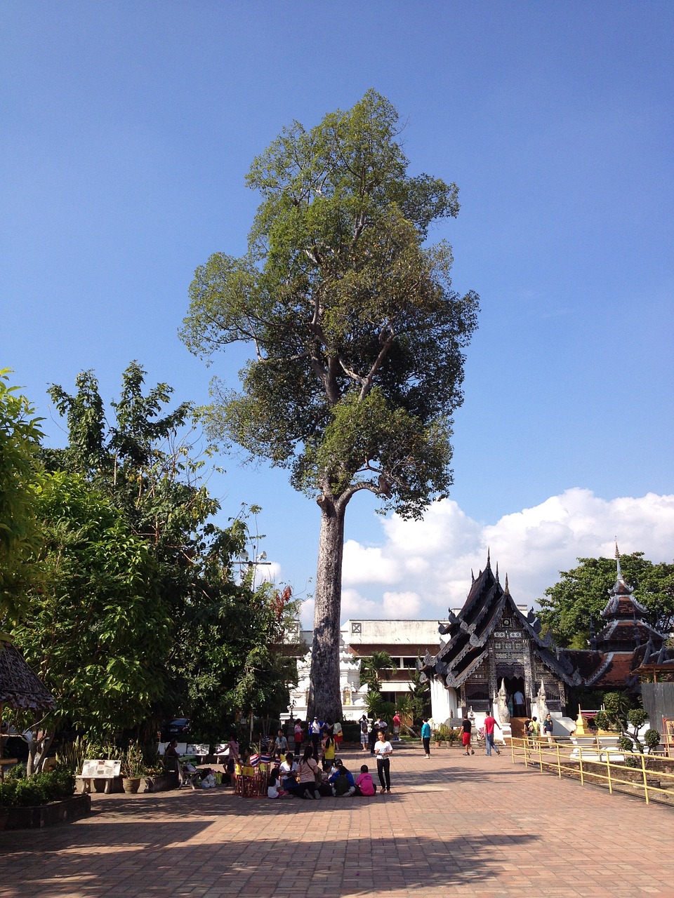 temple chiang mai buddist free photo