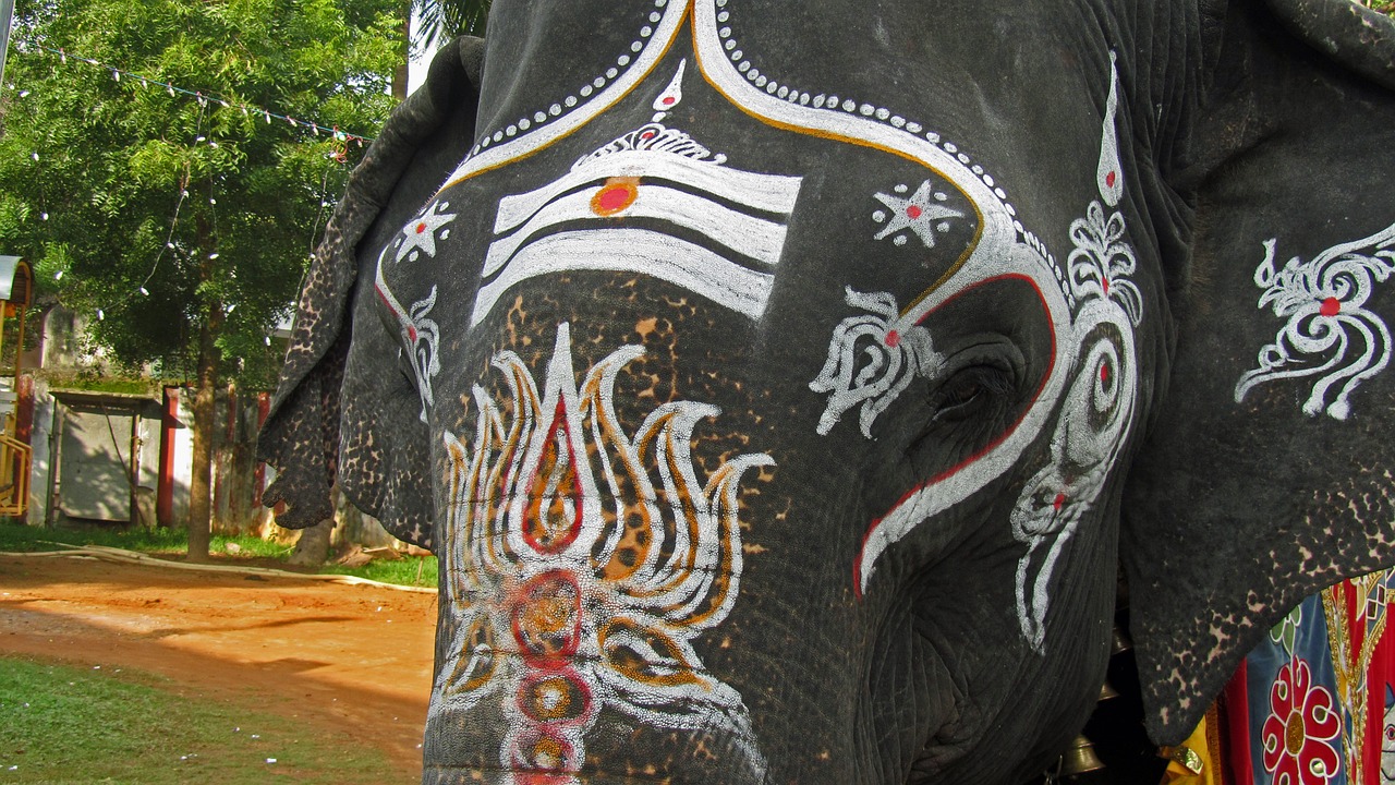 temple elephant india hinduism free photo