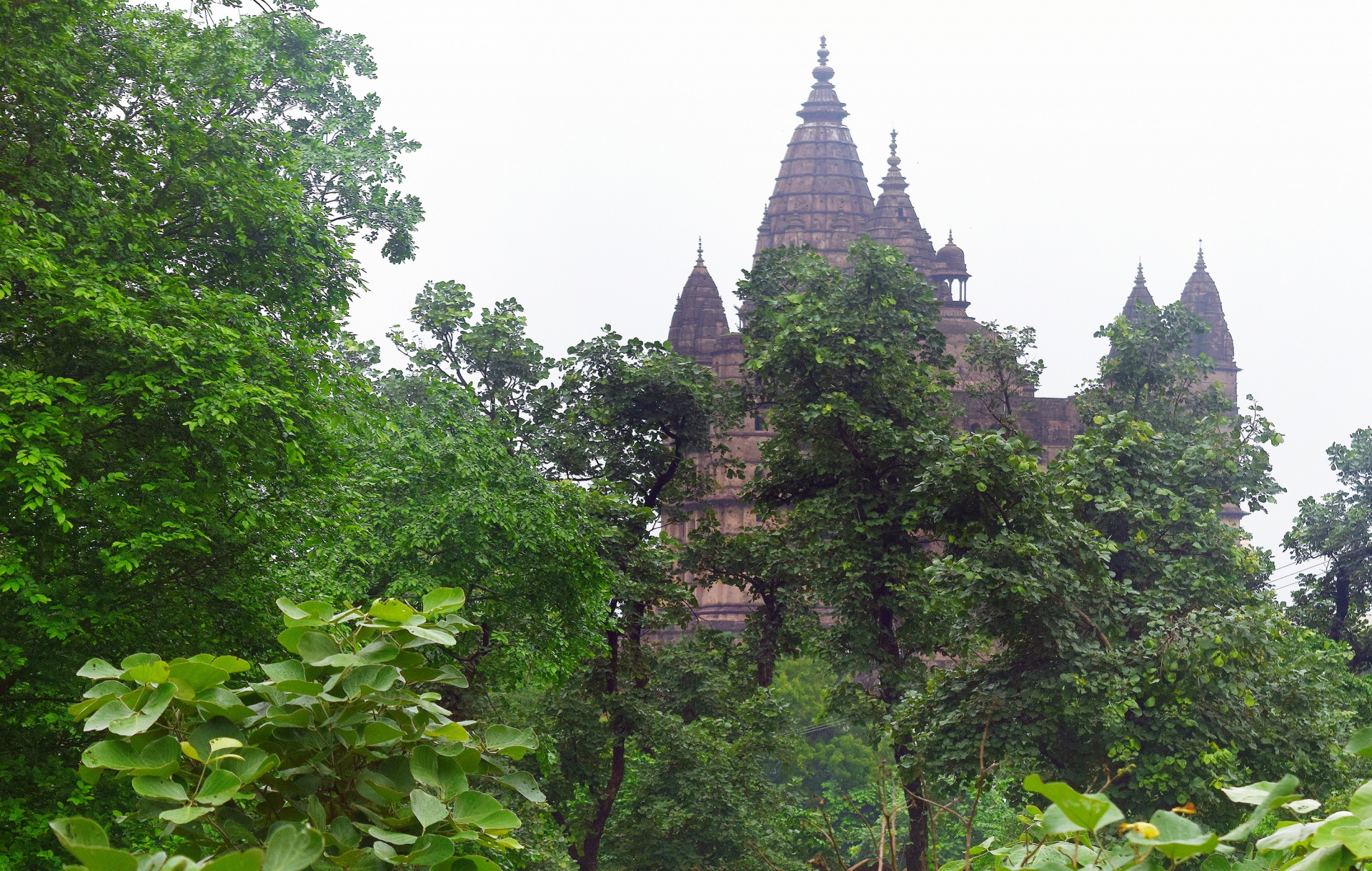 temple worship hindu free photo