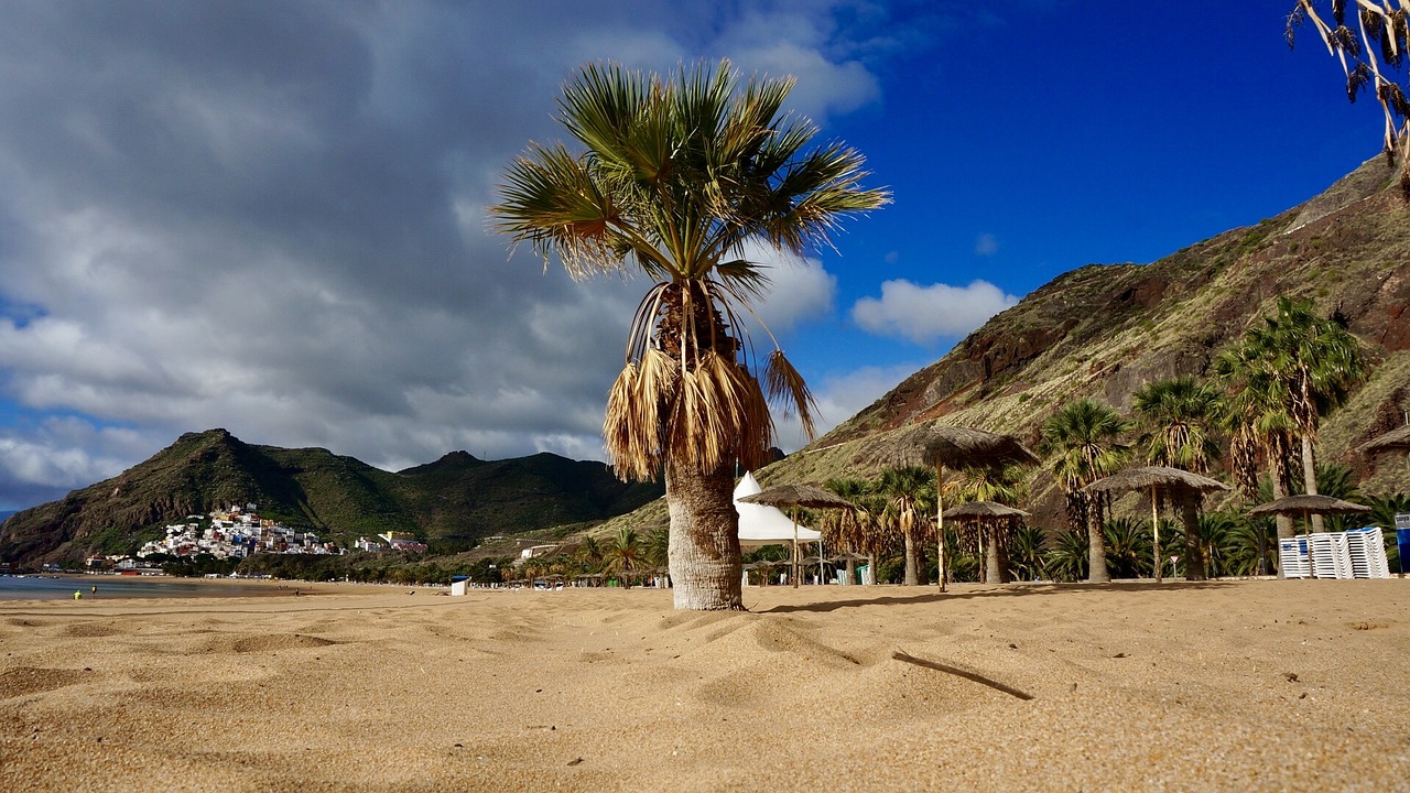 tenerife canary islands holiday free photo