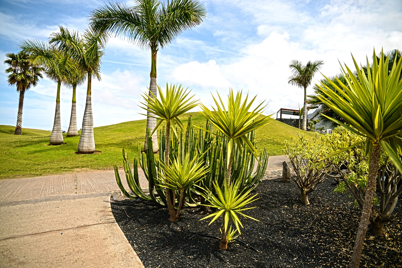 tenerife canary islands landscapes free photo