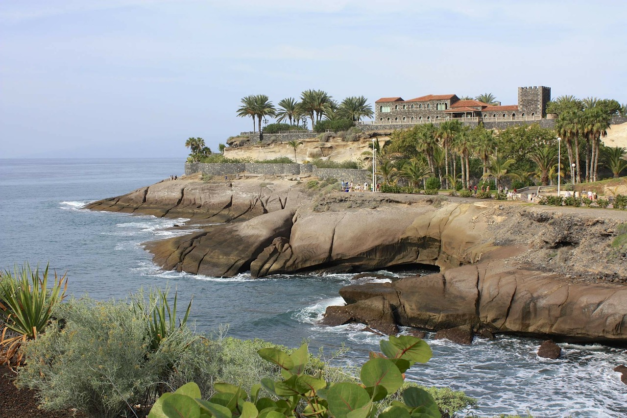 tenerife beach canary islands free photo