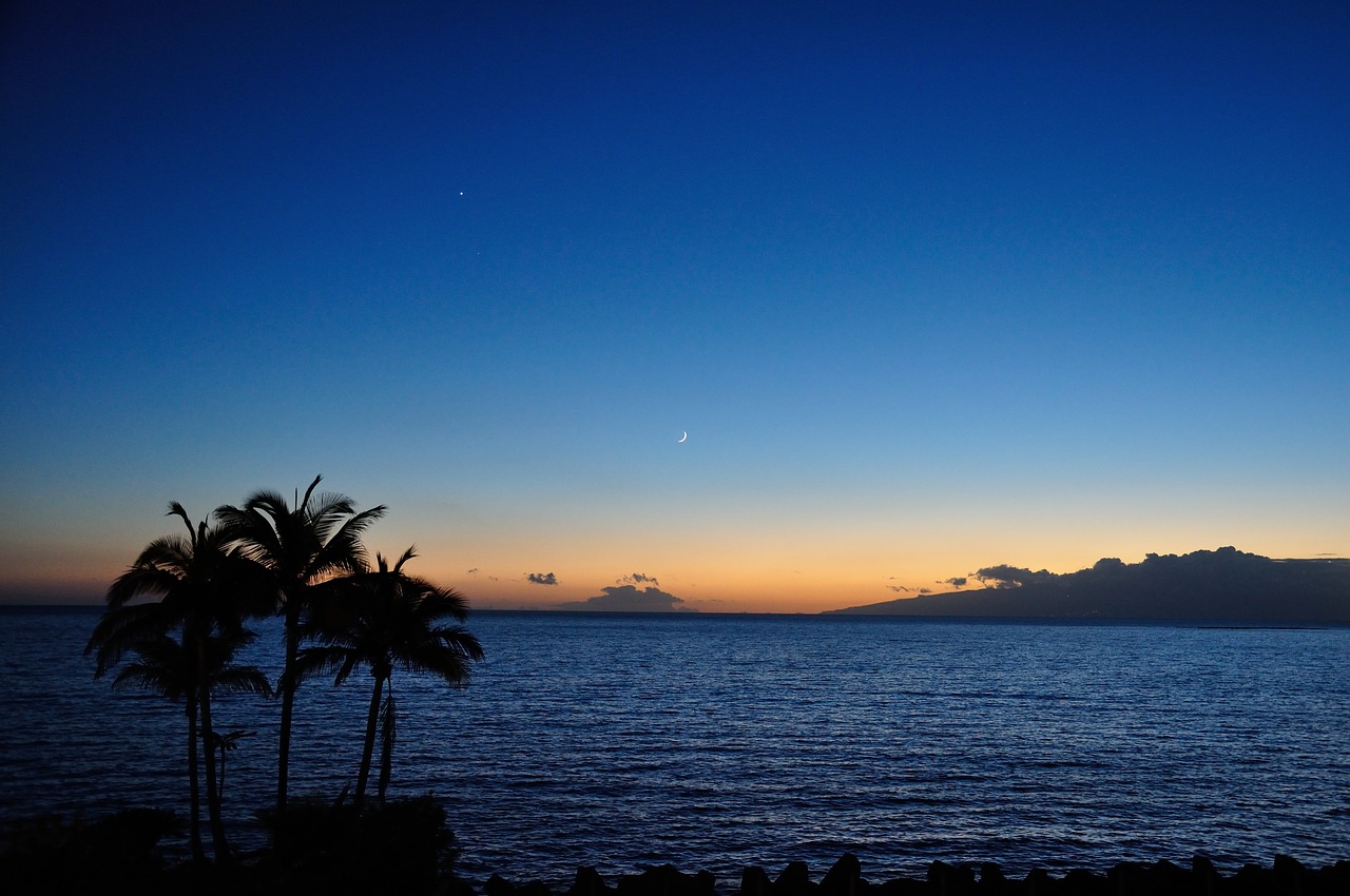 tenerife  evening  sunset free photo