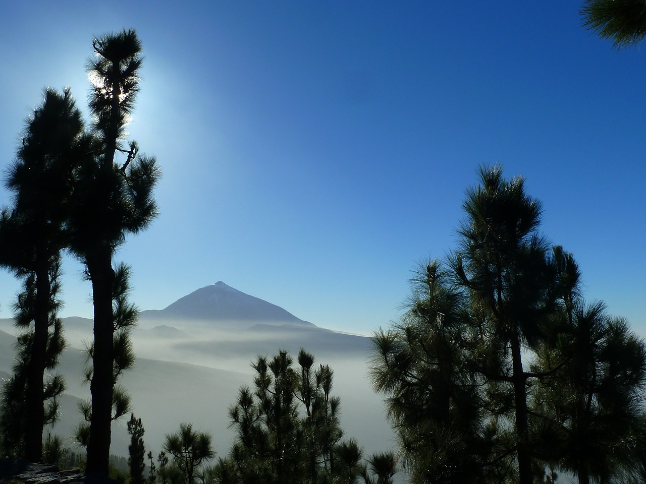 tenerife canary islands nature free photo