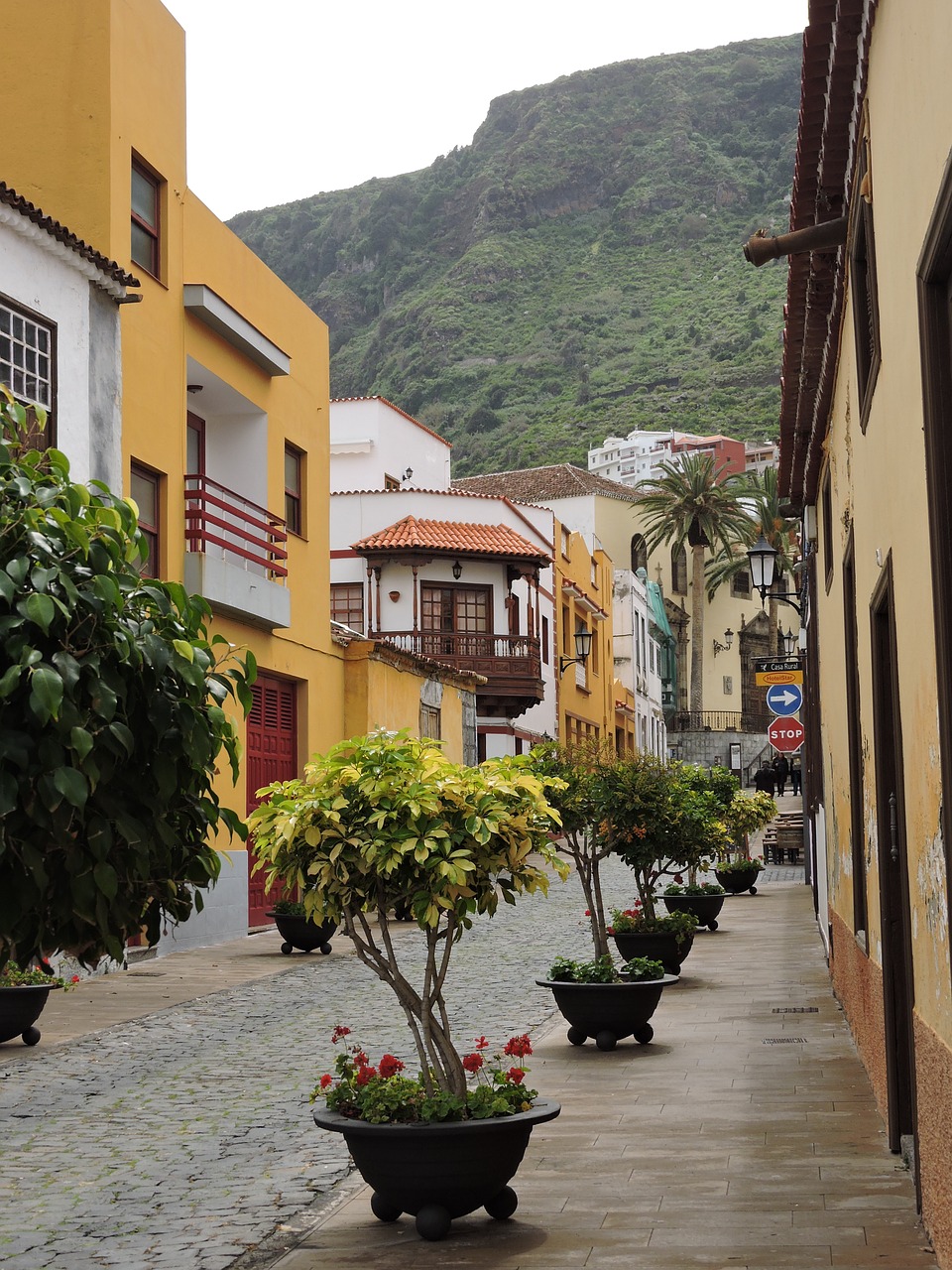 tenerife city street free photo