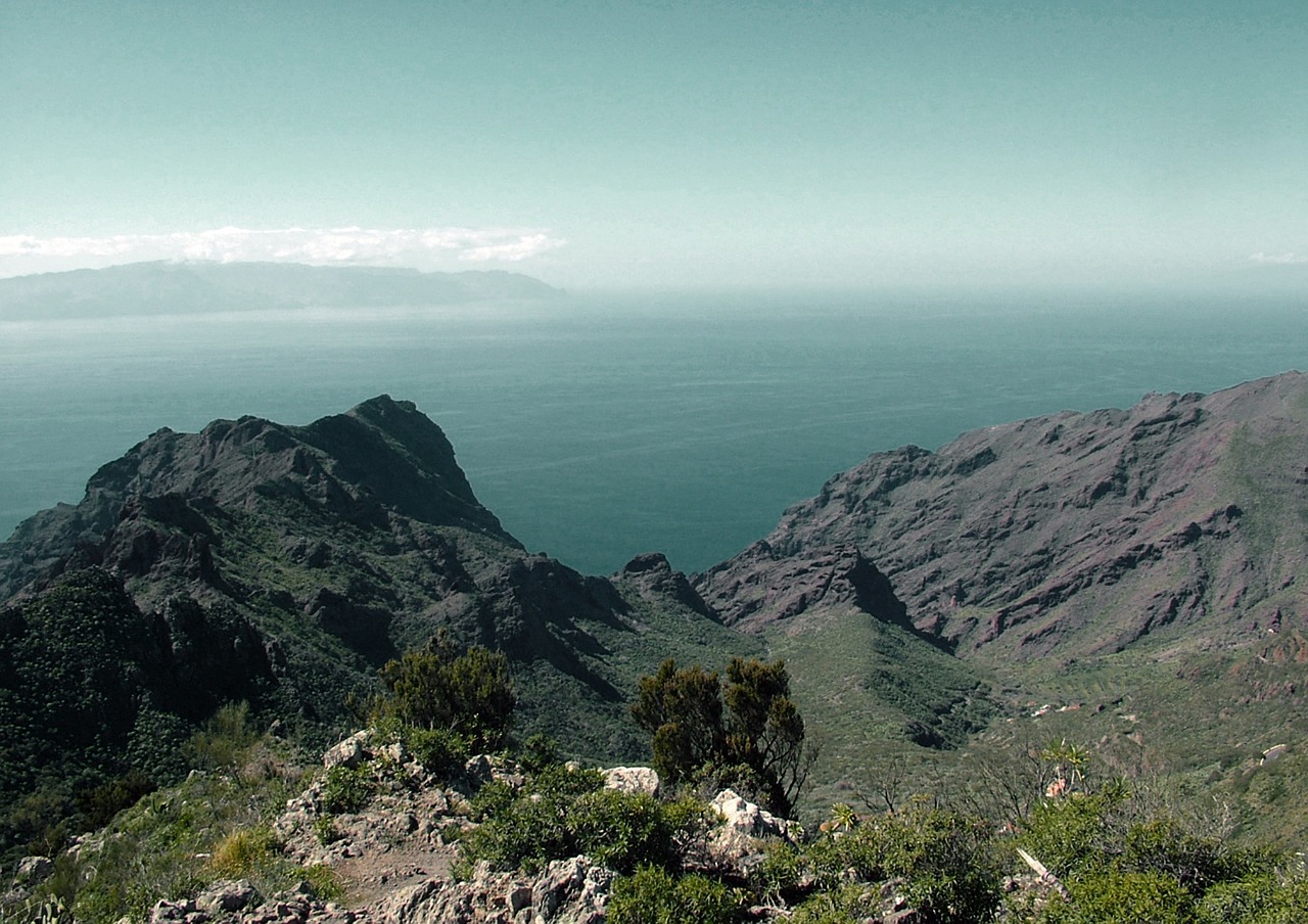 tenerife canary islands nature free photo