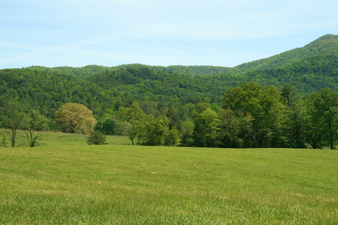 tennessee smokies smoky mountains free photo